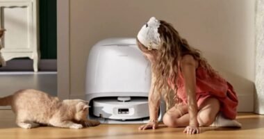 Roborock Qrevo Curv: Welche Funktionen im Alltag wirklich einen Unterschied machen